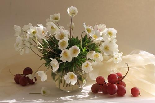 ǳеϲȱѧ׼ϲ