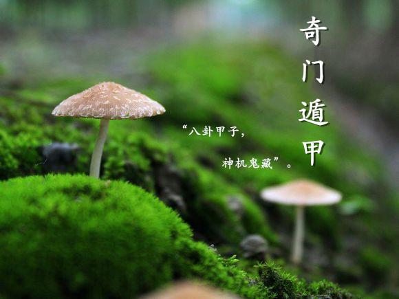 ѧŶݼһҪֵ͹ϵӦã