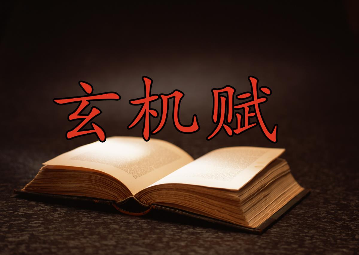 ѧϰŶݼ()