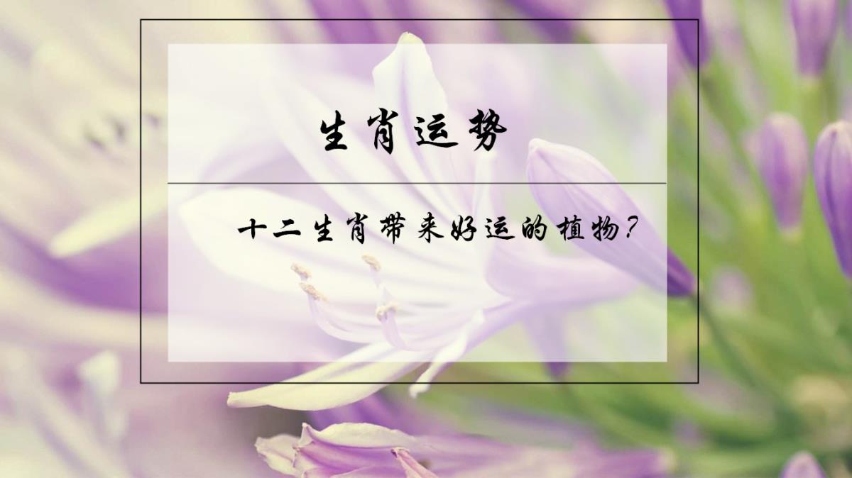 ʮФ˵ֲ