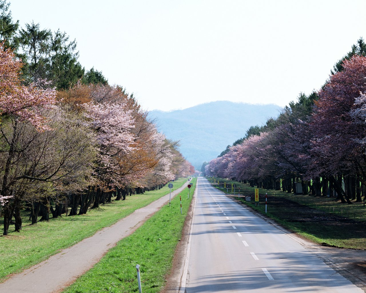 ŶݼԤ⣺ѧϰŵԤ⼲˥