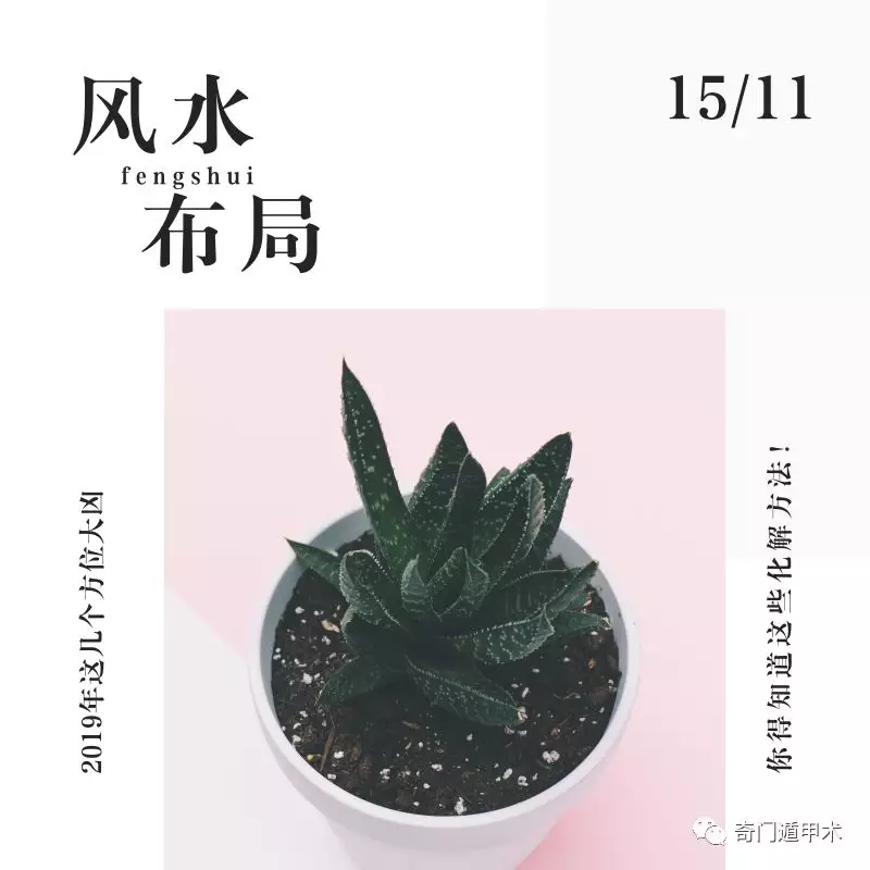 2019⼸λף֪Щⷽ