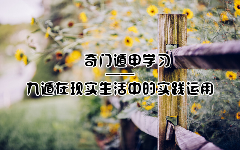 ŶݼѧϰŶݼ׾Ŷʵеʵ