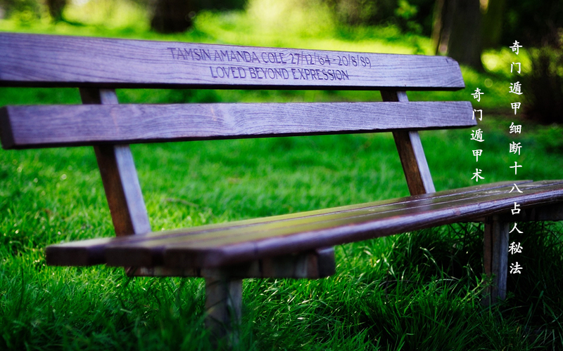 Ŷݼ | ŶݼϸռطһζϳࡢԸȣ