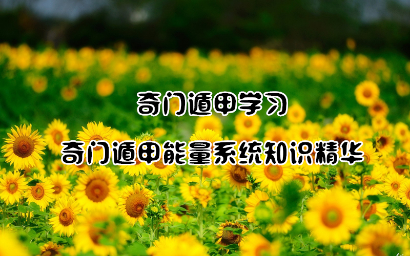 Ŷݼ | ѧϰŶݼϵͳ֪ʶ