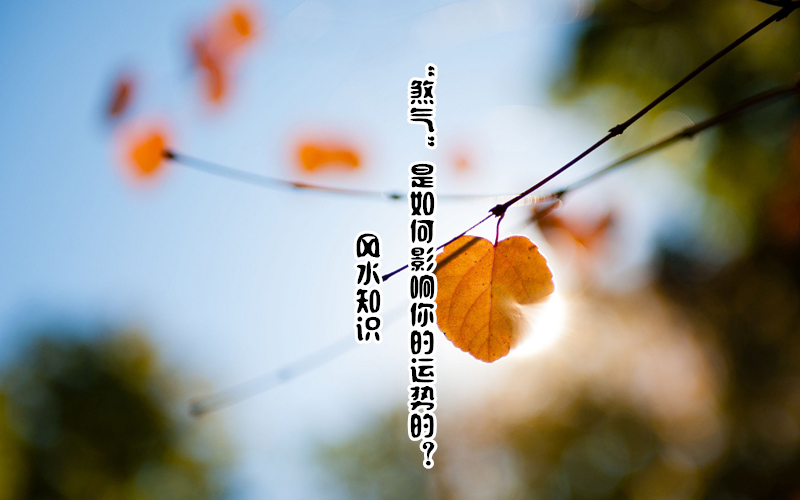 ˮ֪ʶɷӰƵģ