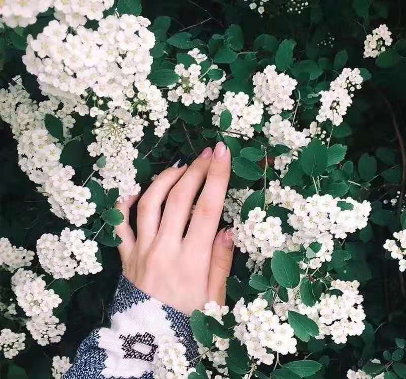 ʦŶݼ׳ֻԤʵսγ̵ڰչ٣