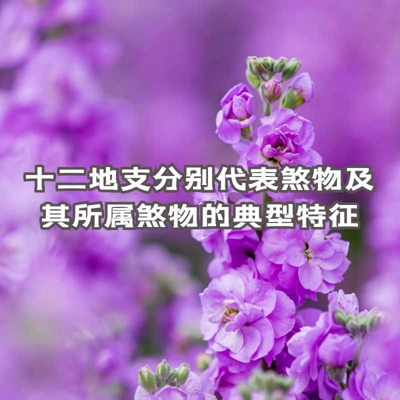 Ŷݼ֪ʶ | ʮֱ֧ɷＰɷĵ