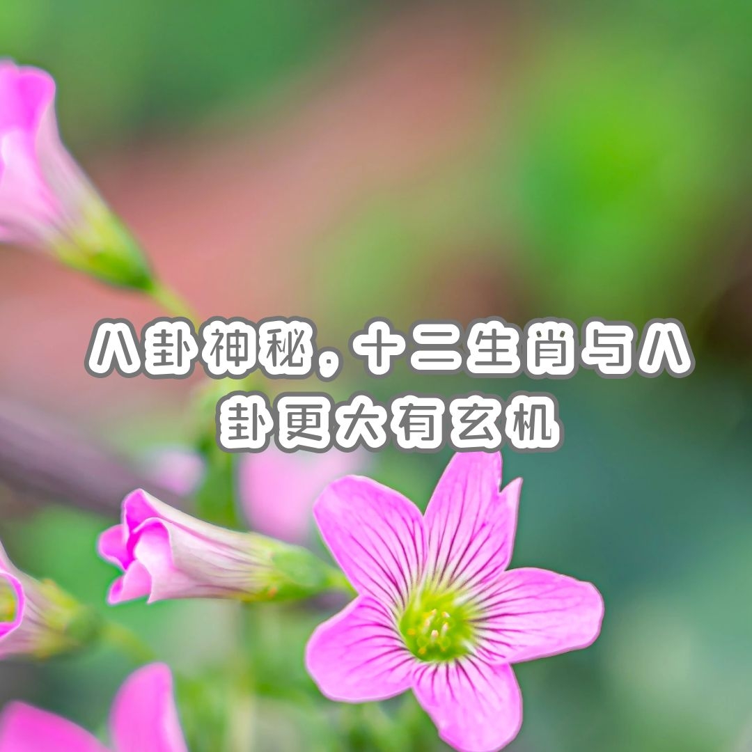 ʮФ | أʮФԸ