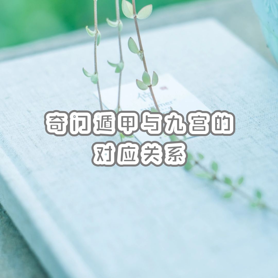 ŶݼŹĶӦϵŶݼ׵꣡