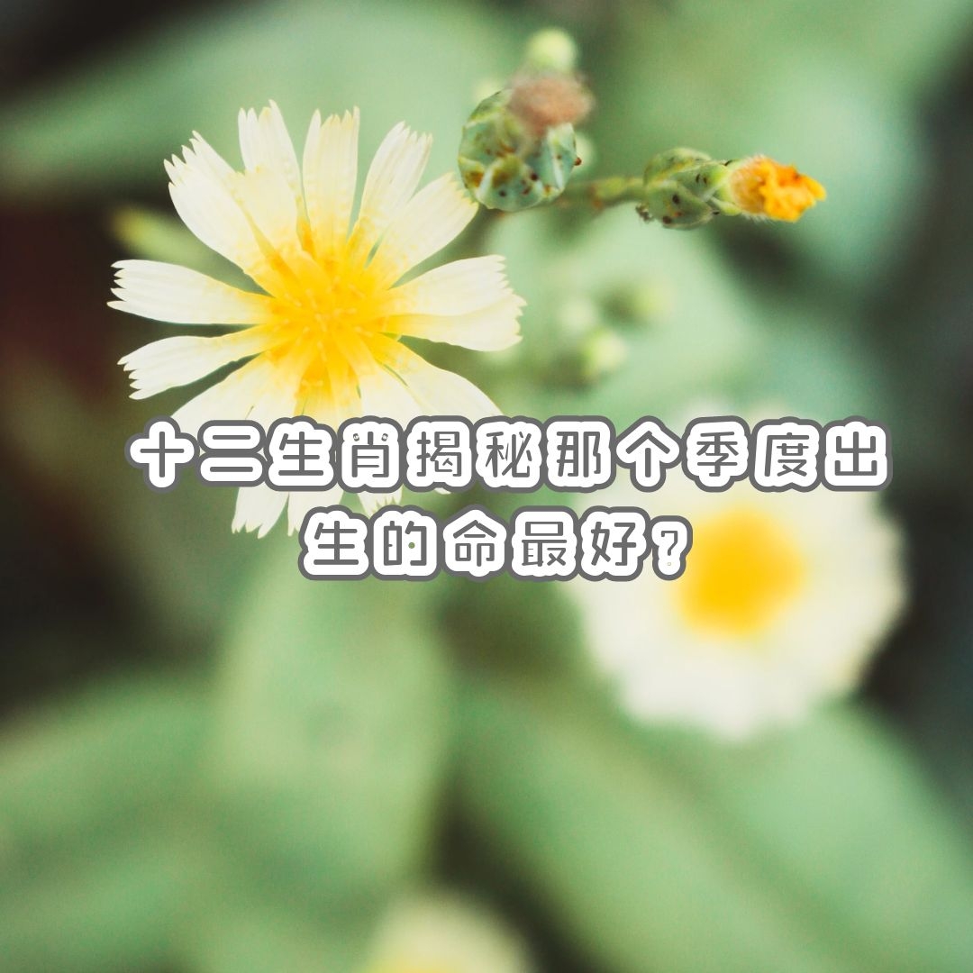 Ф | ʮФǸȳã