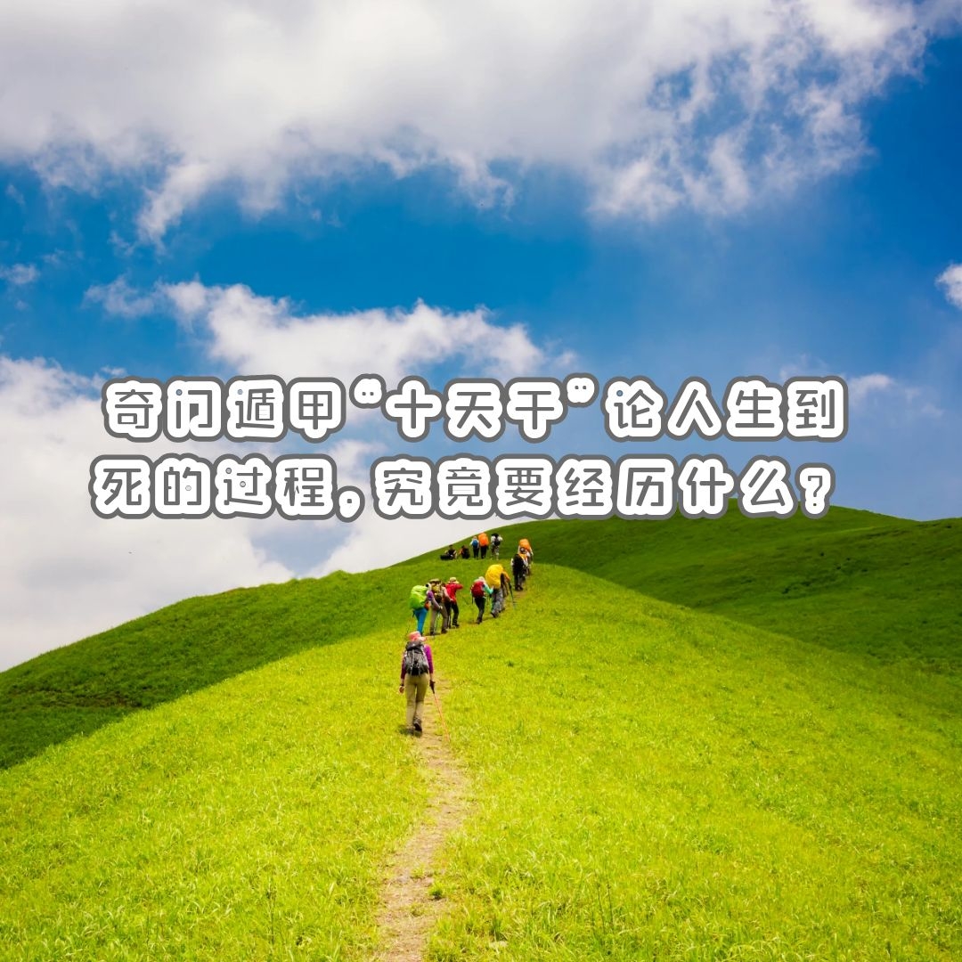 Ŷݼ֪ʶ | ŶݼסʮɡḶ́Ҫ