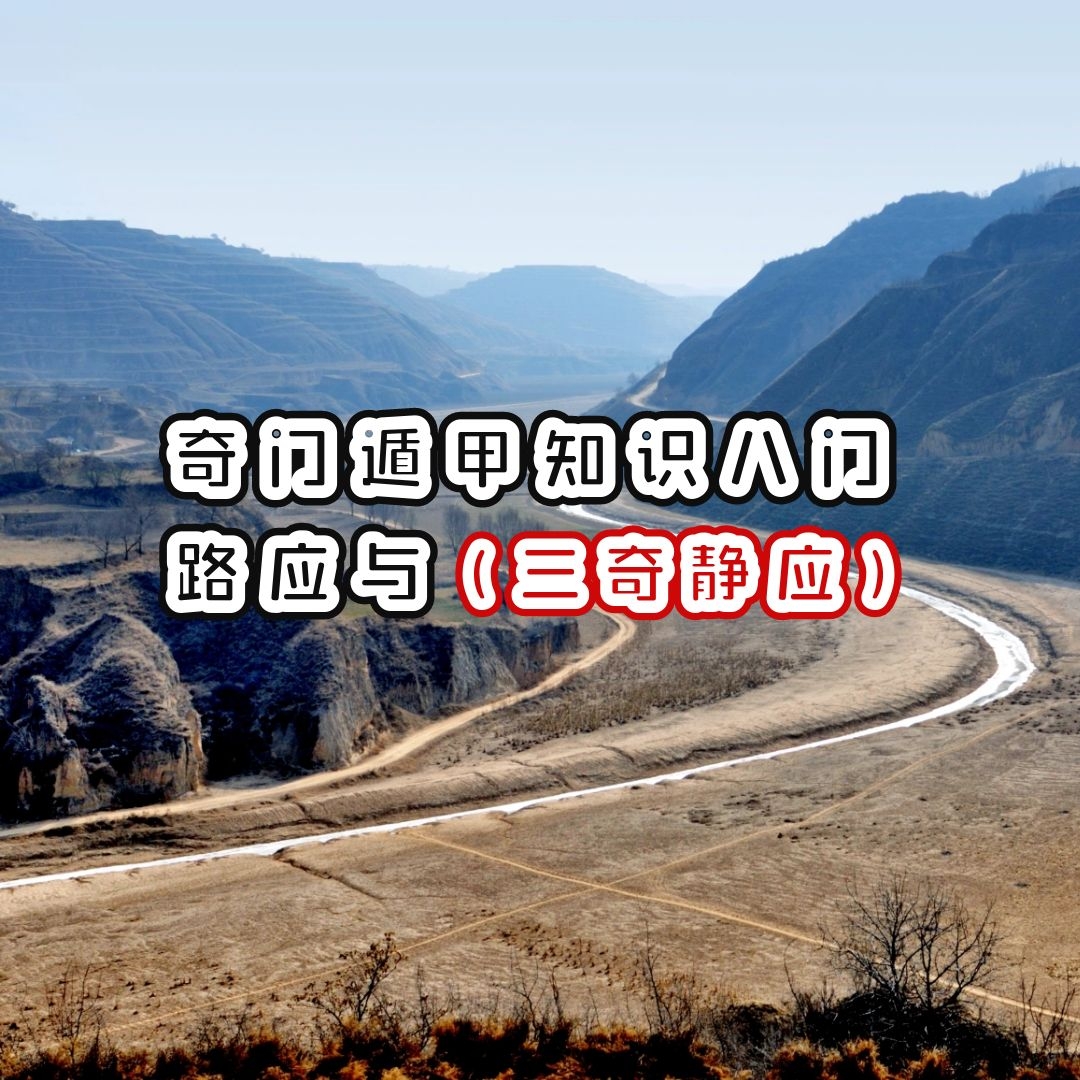 Ŷݼ֪ʶ | ·Ӧ澲Ӧٹ׸