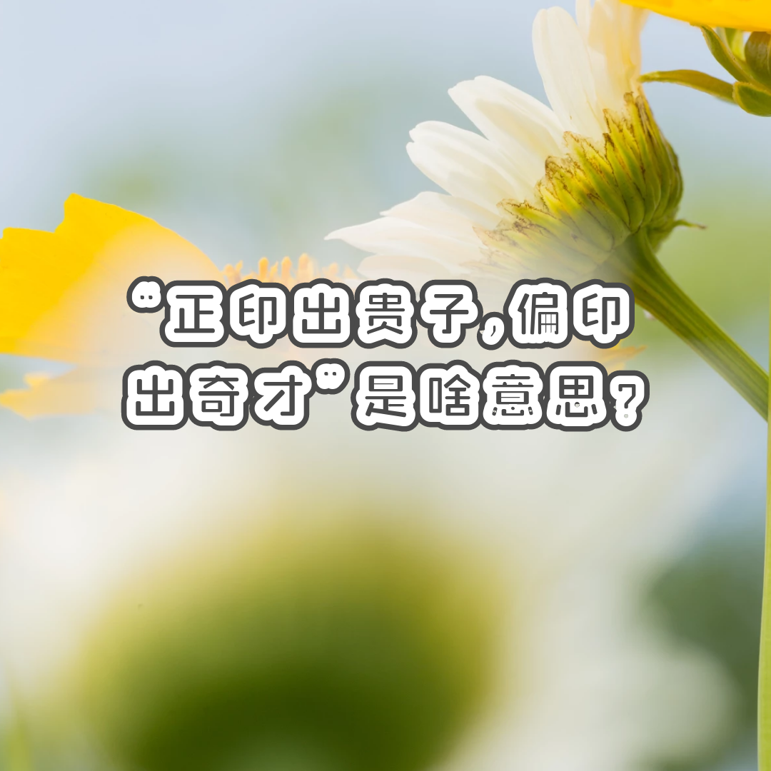 ѧ | ӡ,ƫӡšɶ˼?