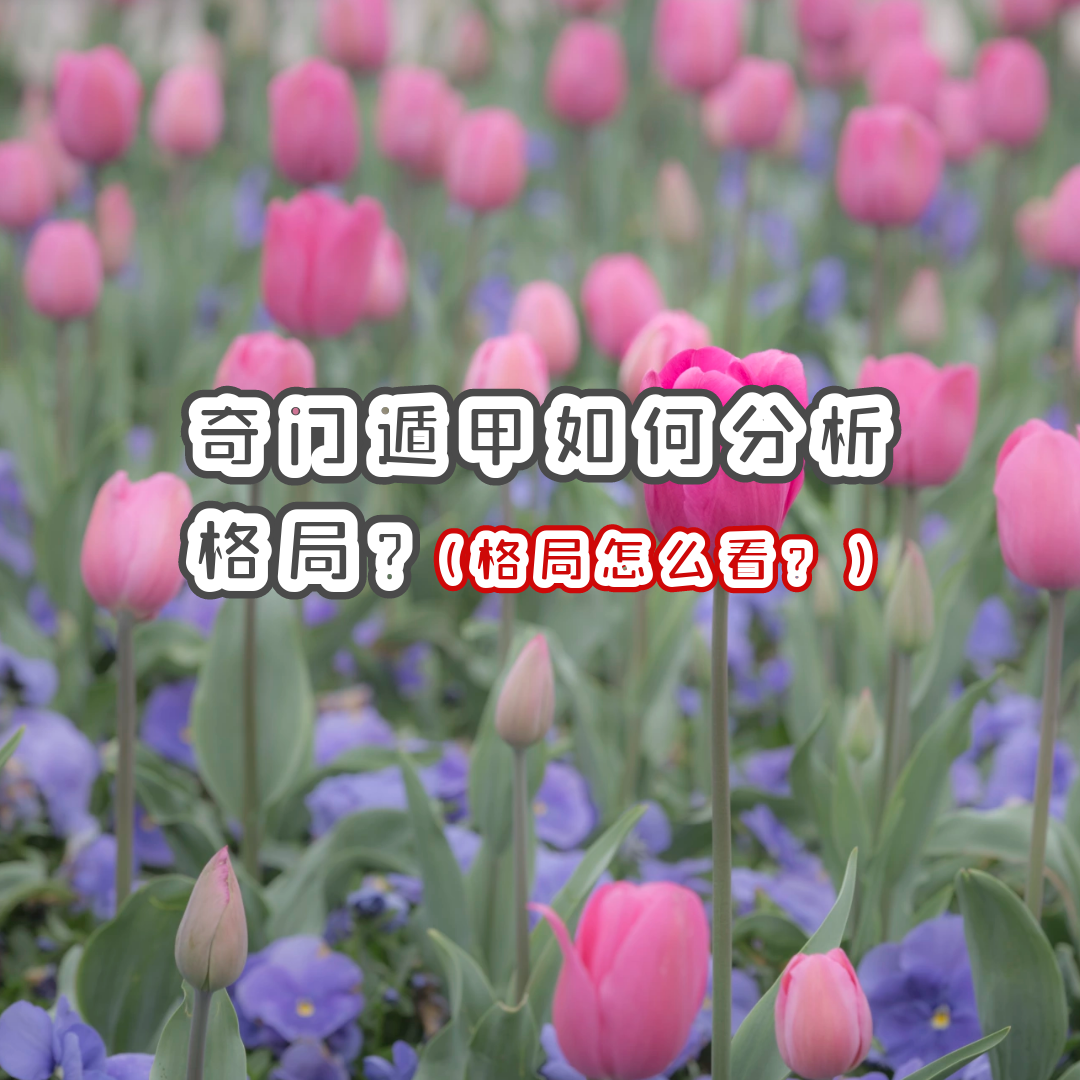 Ŷݼ֪ʶ | Ŷݼη֣ô