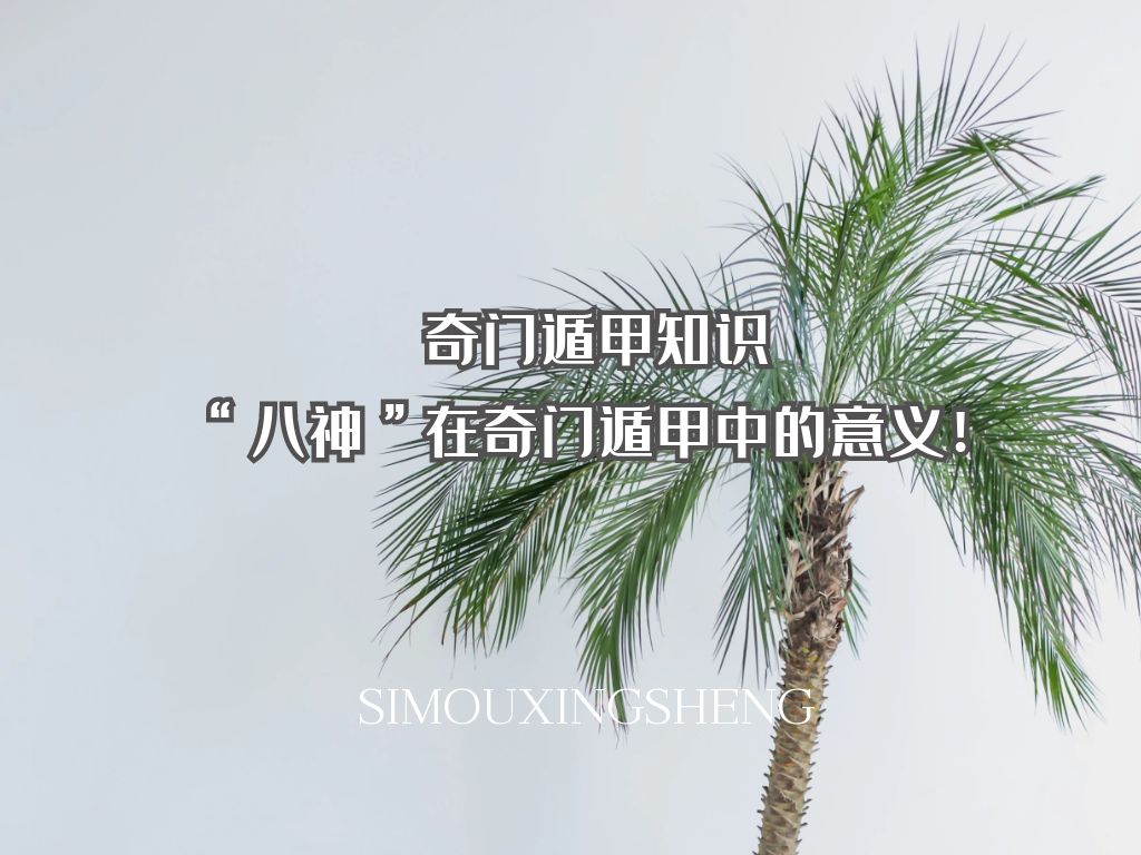 Ŷݼ֪ʶ | Ŷݼе壡
