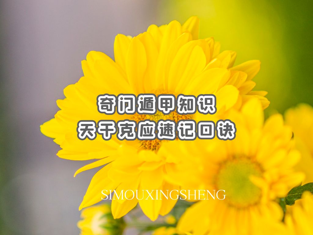 Ŷݼ֪ʶ | ŶݼɿӦټǿھ