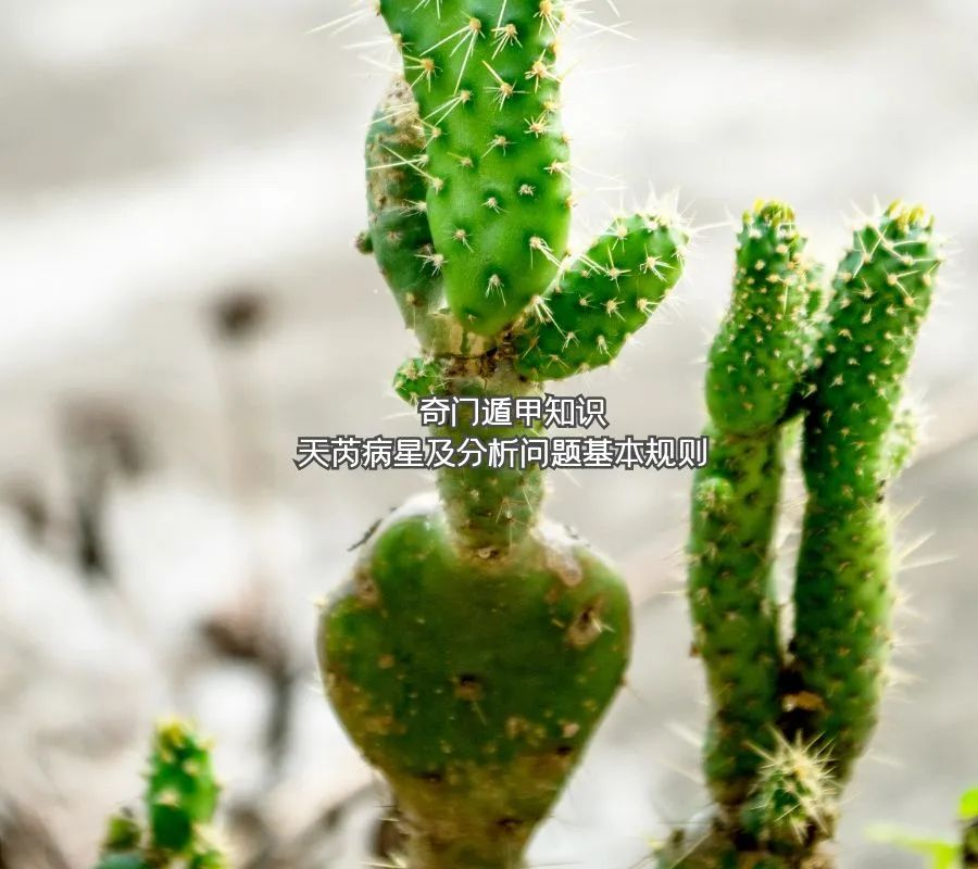 Ŷݼ֪ʶ ǲǼ